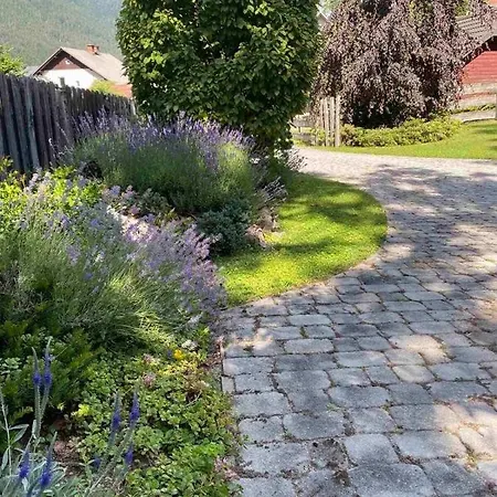 Dona * Kranjska Gora