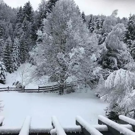 Dona Kranjska Gora
